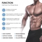 www.hktmay.com_ems sculpting_TM-EMT2_Black_06_Tingmay EMS Sculpt Machine for Fat Burning and Body Shaping_Function